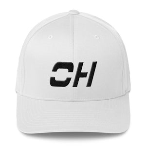 Ohio - Structured Twill Cap - Black Embroidery - OH - Many Hat Color Options Available