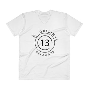 Delaware - V-Neck T-Shirt - Original 13