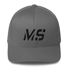 Mississippi - Structured Twill Cap - Black Embroidery - MS - Many Hat Color Options Available