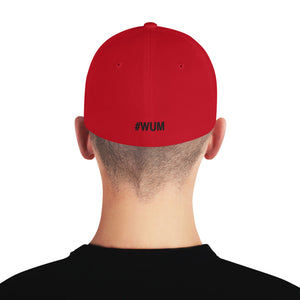 Margo's Collection - Pray for a Miracle - Structured Twill Cap - 2 Sizes - Embroidered Front and Back (#WUM)