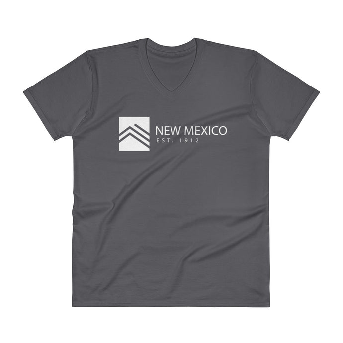 New Mexico - V-Neck T-Shirt - Established