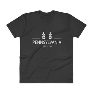 Pennsylvania - V-Neck T-Shirt - Established