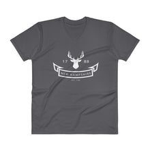 New Hampshire - V-Neck T-Shirt - Established