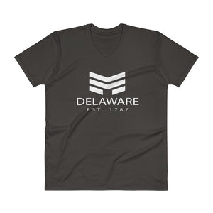 Delaware - V-Neck T-Shirt - Established