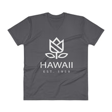 Hawaii - V-Neck T-Shirt - Established