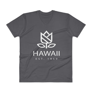Hawaii - V-Neck T-Shirt - Established