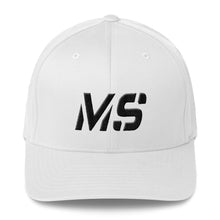 Mississippi - Structured Twill Cap - Black Embroidery - MS - Many Hat Color Options Available