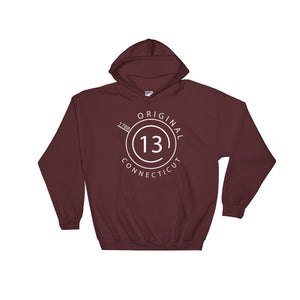 Connecticut - Hooded Sweatshirt - Original 13