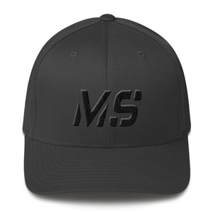 Mississippi - Structured Twill Cap - Black Embroidery - MS - Many Hat Color Options Available