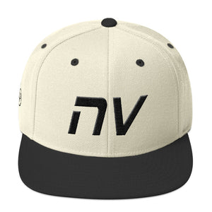 Nevada - Flat Brim Hat - Black Embroidery - NV - Many Hat Color Options Available