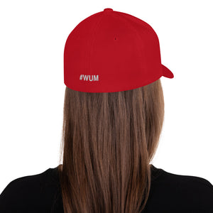 Margo's Collection - Pray for a Miracle - Structured Twill Cap - 2 Sizes - Embroidered Front and Back (#WUM)